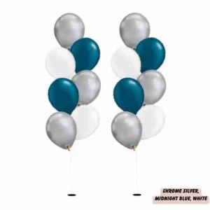 Silver & Midnight & White