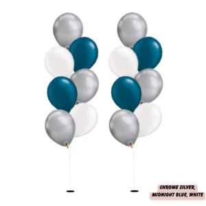 Silver & Midnight & White