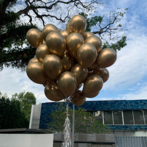 Balloons Bundle - Single Chrome Colour