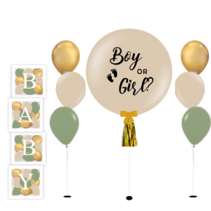 Baby Gender Reveal Balloon Box Package